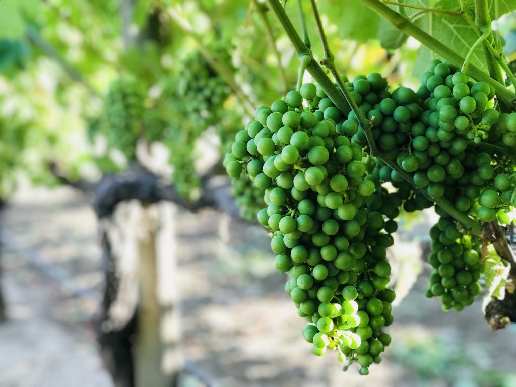 5b1ca9226dd2-IMG_0131