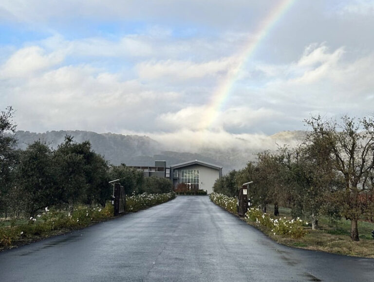 IMG_633DAFBCC886-1-768×578