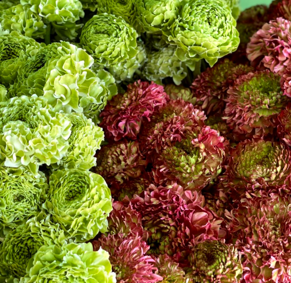 Screen-Shot-2022-12-12-at-12.19.00-PM