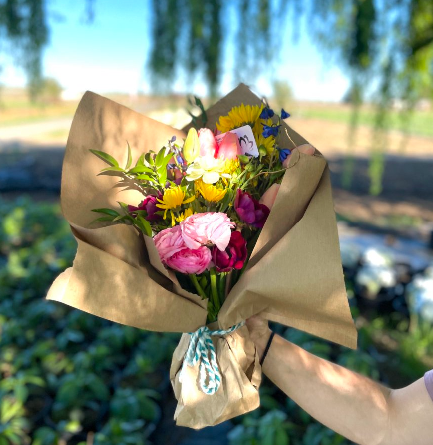 Screen-Shot-2022-12-12-at-12.26.13-PM