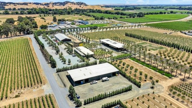 Aerial view of Suisun Valley farmland featured by Bosco Real Estate.