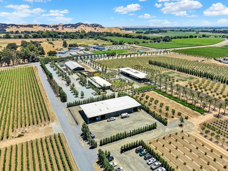 Aerial view of Suisun Valley farmland featured by Bosco Real Estate.