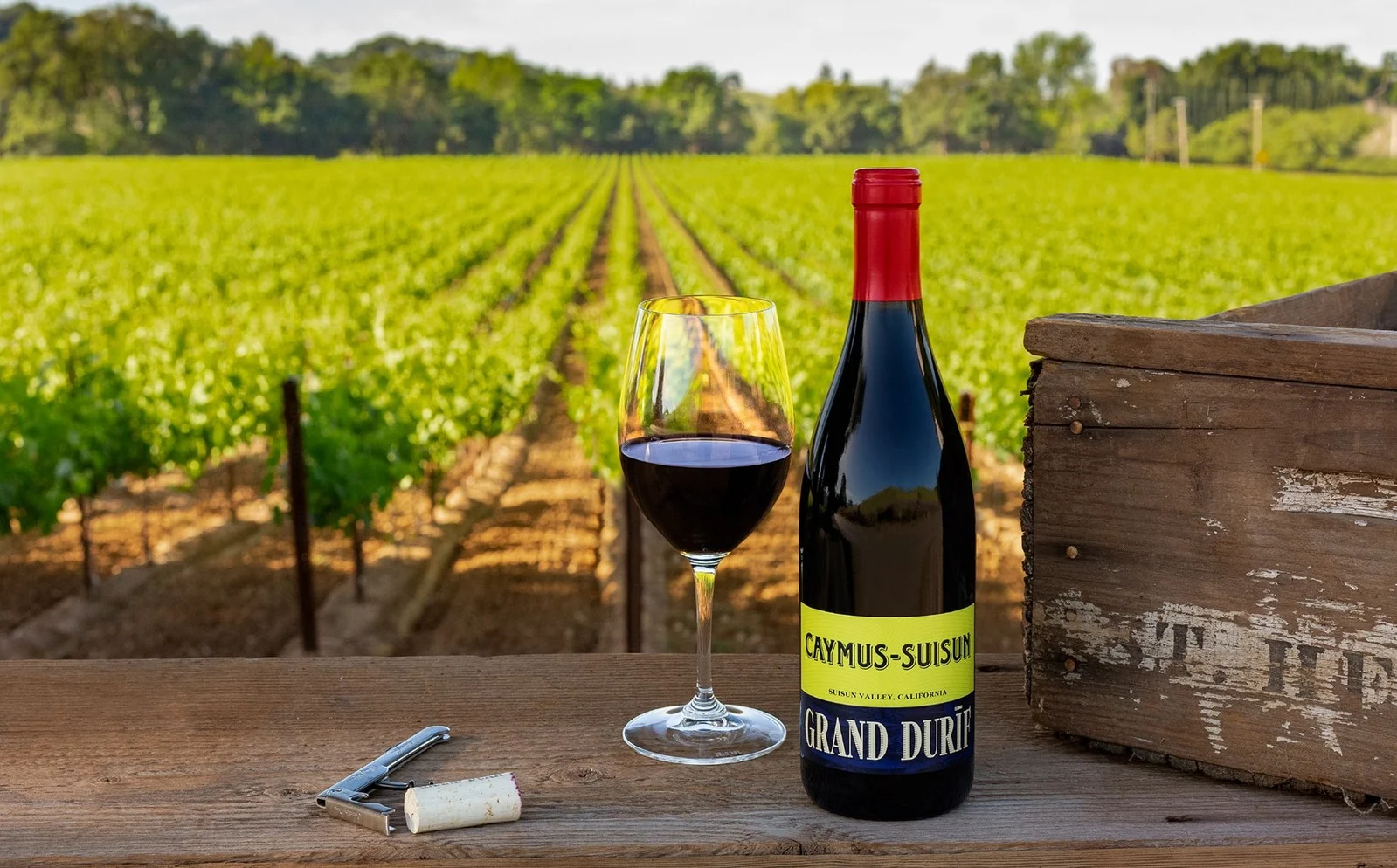 Bottle and glass of Caymus–Suisun wine overlooking vineyard rows.
