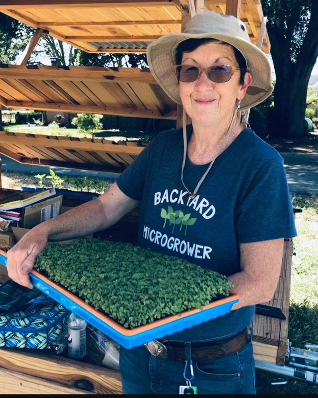 Lisa Pearson tending hydroponic microgreens in Suisun Valley.