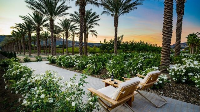 Bottle and glass of Caymus–Suisun wine overlooking vineyard rows.
