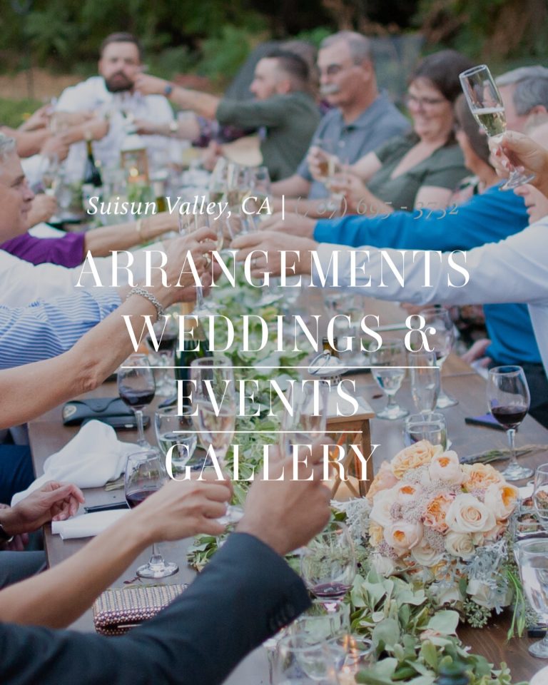 This week’s SVBS newsletter features Floradánica Flowers. Discover their story and learn how they brighten Suisun Valley with beautiful floral creations. Comment FLOWERS to get the full details.