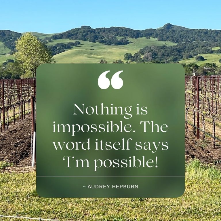 Monday Motivation: A Fresh Start for a New Week