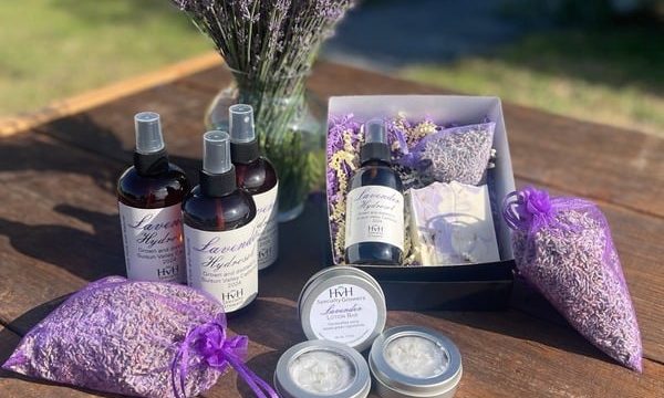 Fresh tulips at HvH Specialty Growers farm in Fairfield.