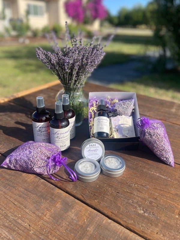 Fresh tulips at HvH Specialty Growers farm in Fairfield.