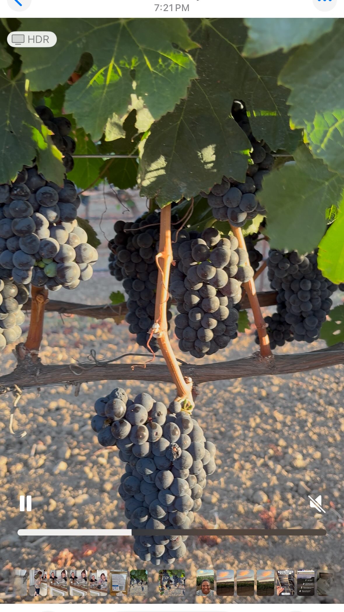 Evening at Suisun Creek Winery