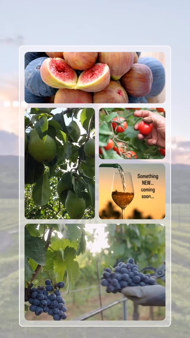 Taste the Best of Suisun Valley’s Farm-to-Table Delights