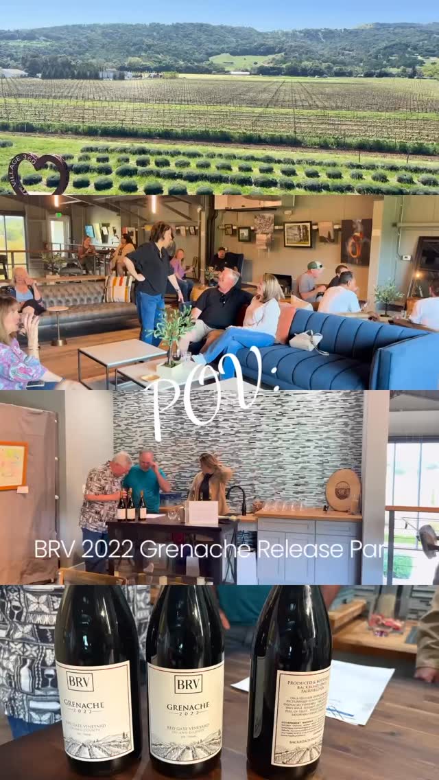 Sunday Funday at Backroad Vines